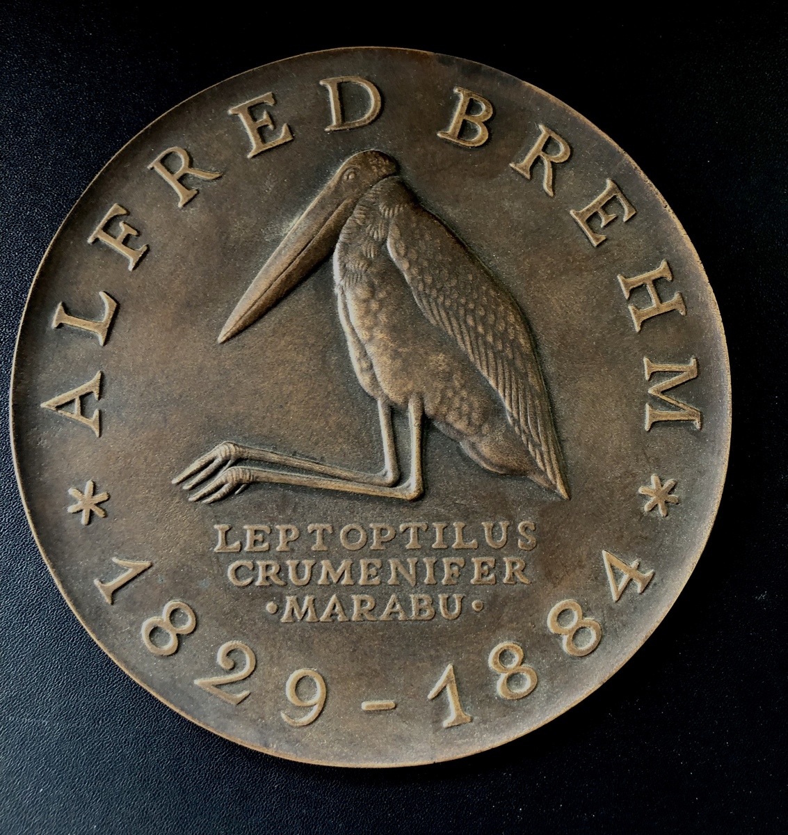 159784A~  10 Mark  Brehm 84A Bronzemodel v. Hoyer, freigegeben J1597  